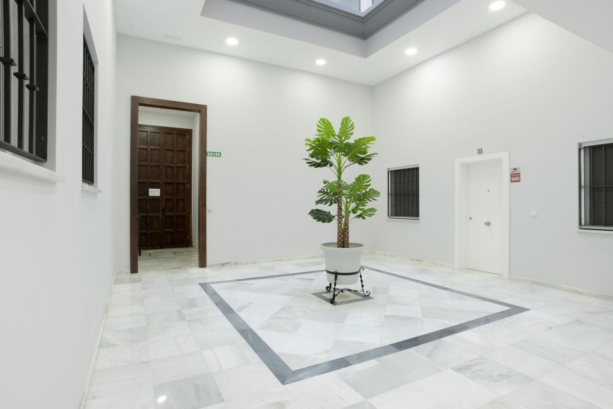 Apartamento Centro Deluxe Cádiz Exteriör bild